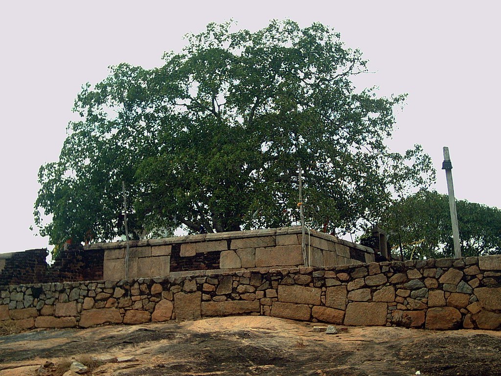 Thathirimale temple | Thathirimale temple. Bo tree | Ajantha Pitadeniya ...