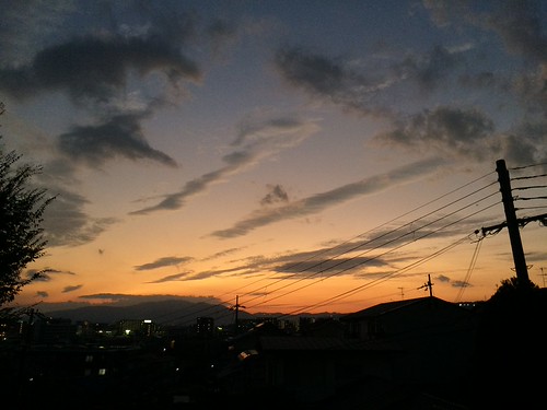 すべての写真-3914 by bodyhacker,