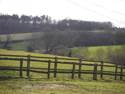 Scene near Oakwood Farm, Beenham SWC Walk 117 Aldermaston to Woolhampton (via Stanford Dingley)