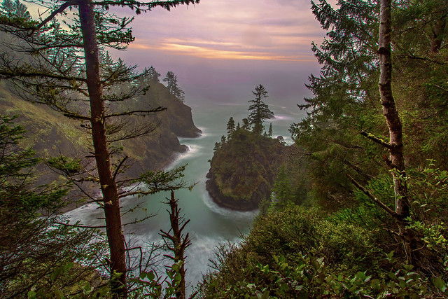 Misty Cove on the Oregon Coast