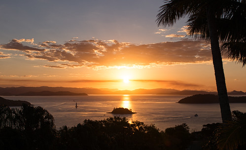camera sunset nikon df yacht australia whitsundays palmtree queensland goldenhour hamiltonisland sunbeams onetreehill