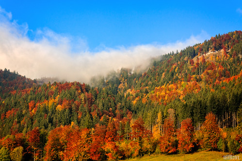 autumn germany bayern deutschland bavaria outdoor herbst jahreszeit landschaft lenggries hohenburg