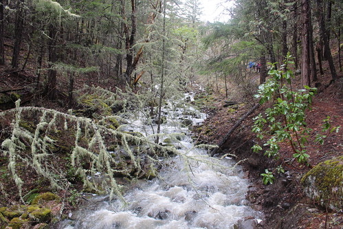 park blue lake creek river joseph lost state hiking cove trail stewart grotto rogue shady
