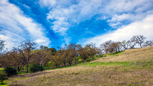 california park ca morning pink blue trees red sky white green grass clouds us unitedstates outdoor sanjose hiker almaden santaclaracountyparks guadalupeoakgrovepark