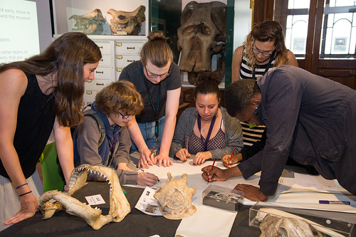 UCL Summer School students in the Grant Museum of Zoology. Photographer: Kirsten Holst