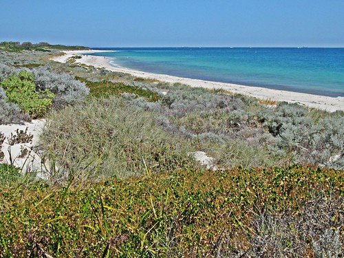 ocean beach oz dunes indianocean australia perth wa westernaustralia pinaroopoint whitfordsdunes