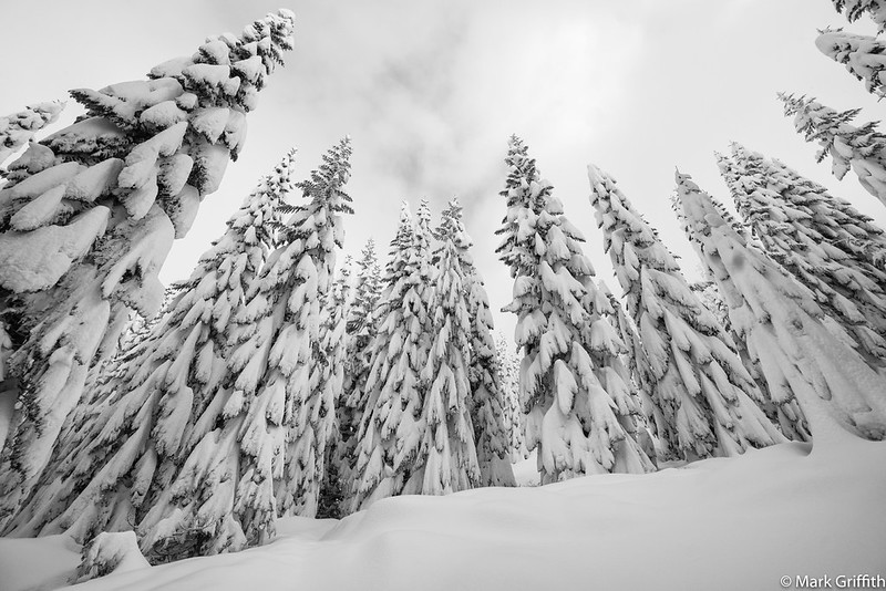 First Day of Winter