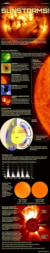 İnfographic | by yilmazsinan53