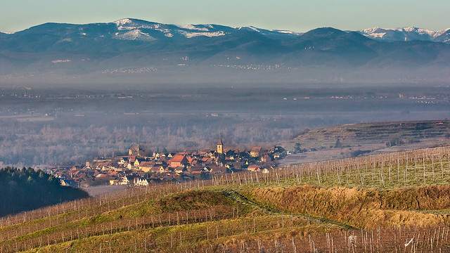 Vineyards and vosges