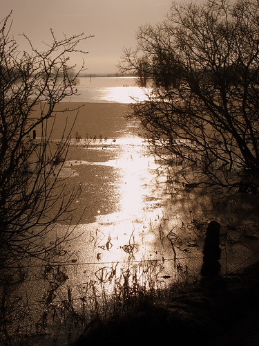 newyear_025 by Sascha G Photography, ireland winter nature canon landscape scenery january newyear powershot shannon fields athlone
