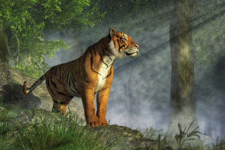 Tiger in the Light