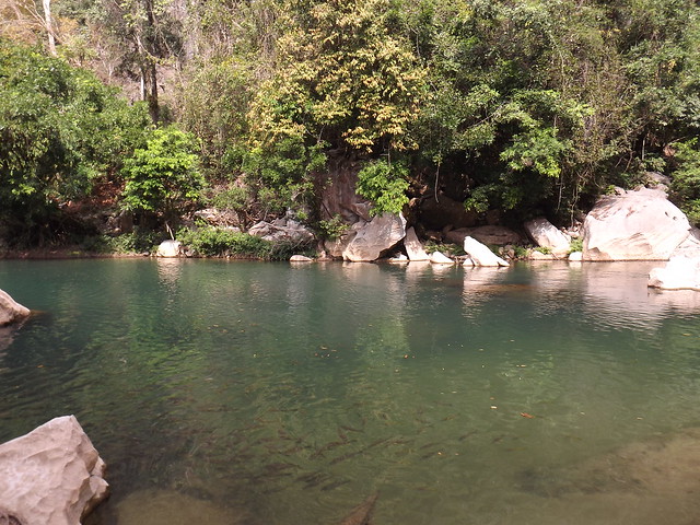 la rivière Hin Boun (et ses poissons) à Kong Lo