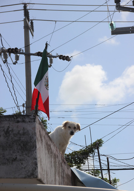 Cozumel, Mexico-IMG_7453