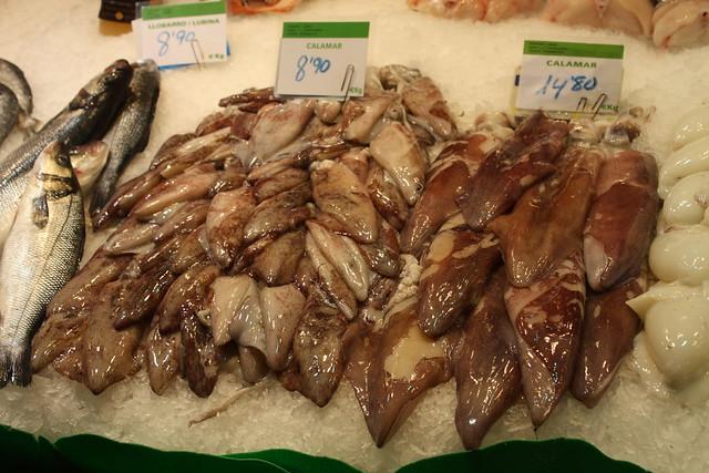 Local fishes from Mediterranean Sea