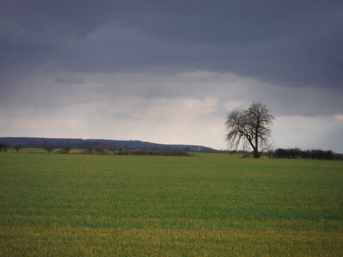 Cloudscapes and Chiltern Hills SWC Walk Cheddington to Leighton Buzzard