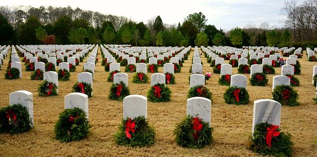 Day 3. January 3. Alabama National Cemetery