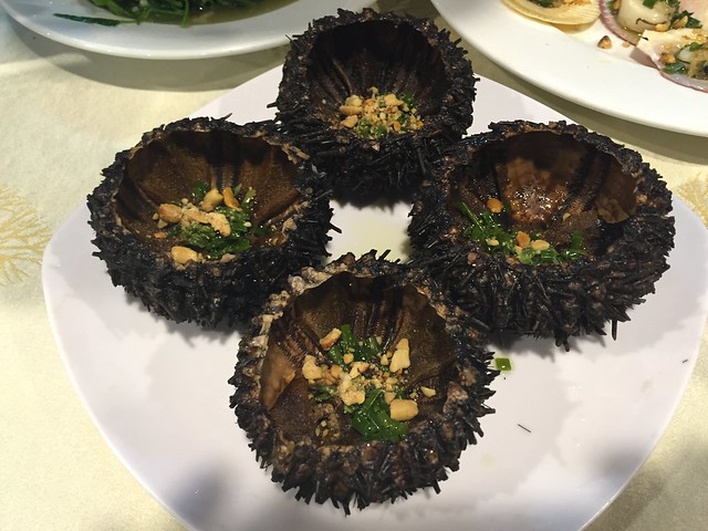 Sea urchins (Con Dao, Vietnam 2016)