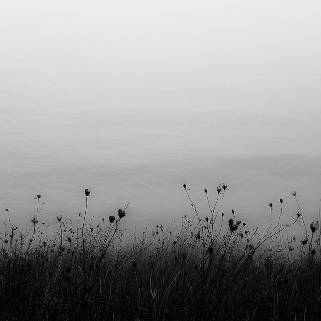 Lakeside Fog 040