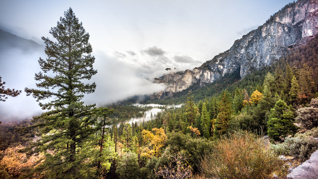 Yosemite Valley - California, United States - Landscape photography