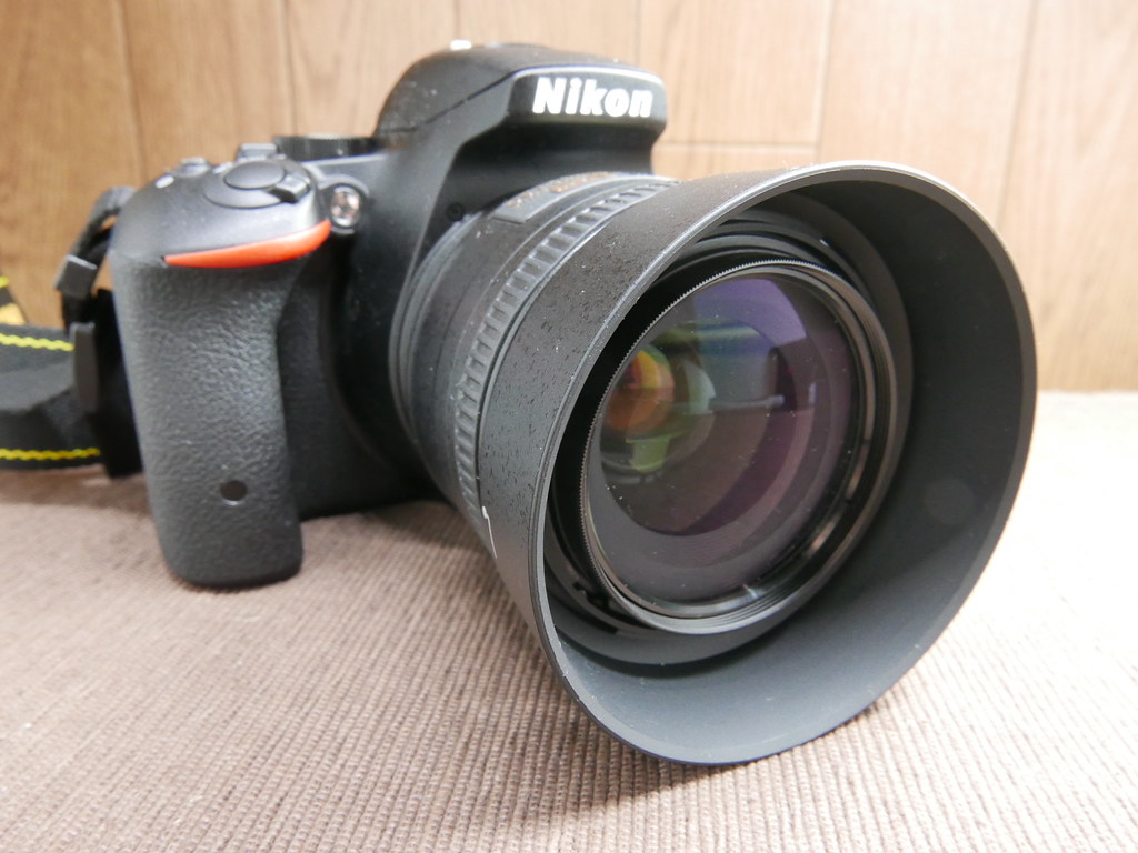 Nikon D5500の5ヶ月使用レビュー！ 初めて買うデジタル一眼には 