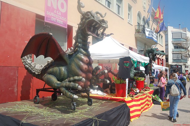 Sant Jordi 2016 Santa Coloma (5)