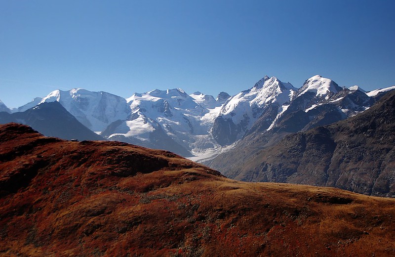 d0405070 | Herbst im Engadin - Blick vom Aufstiegsweg zum Piz Languard auf das Morteratschtal und die Berninagruppe. Der Bergrücken im Vordergrund ist vom Herbstlaub der Preißelbeeren rostbraun gefärbt. Die Gipfelparade mit ihren klangvollen Namen: Piz Palü (3905 m) - Bellavista (3922 m) - Piz Argient - Piz Bernina (4049 m) mit Biancograt - Piz Morteratsch (3751 m) - Piz Roseg (3937 m). Oberengadin / Graubünden, 05.10.2004