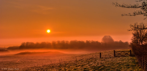 Simplicity by Ninja Dog - 忍者犬, Not a lot more I need to add really - this one speaks for itself.uk trees england sunlight mist colo