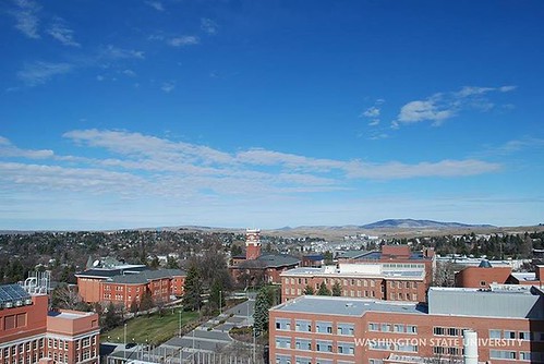 A great day on the #Palouse! The 12th floor of Webster always offers awesome views! ☀️????????#WSU #GoCougs #NoFilter