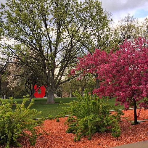 Happy #ArborDay! Did you know we're the state arboretum? Check out all the various trees we have on campus at the interactive map LINK in our bio. ???????????? #UofU #universityofutah #Utah #treestagram