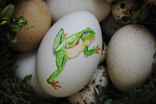 Easter Egg (Greenback)