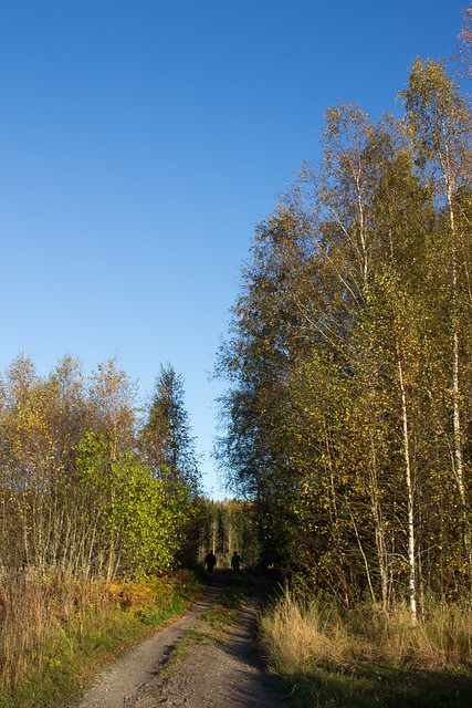2015-10-finland-12.jpg