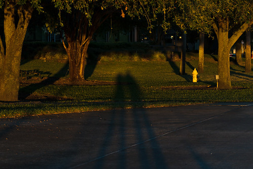 travel evening sidewalk hydrant sunsetshadows sunset trees shadowcouple couple shadows shadow christmastrip fl florida lavishperspectivephotography lizacochran lizawilliams travelfortheholidays traveling travelingforchristmas trip lightroom