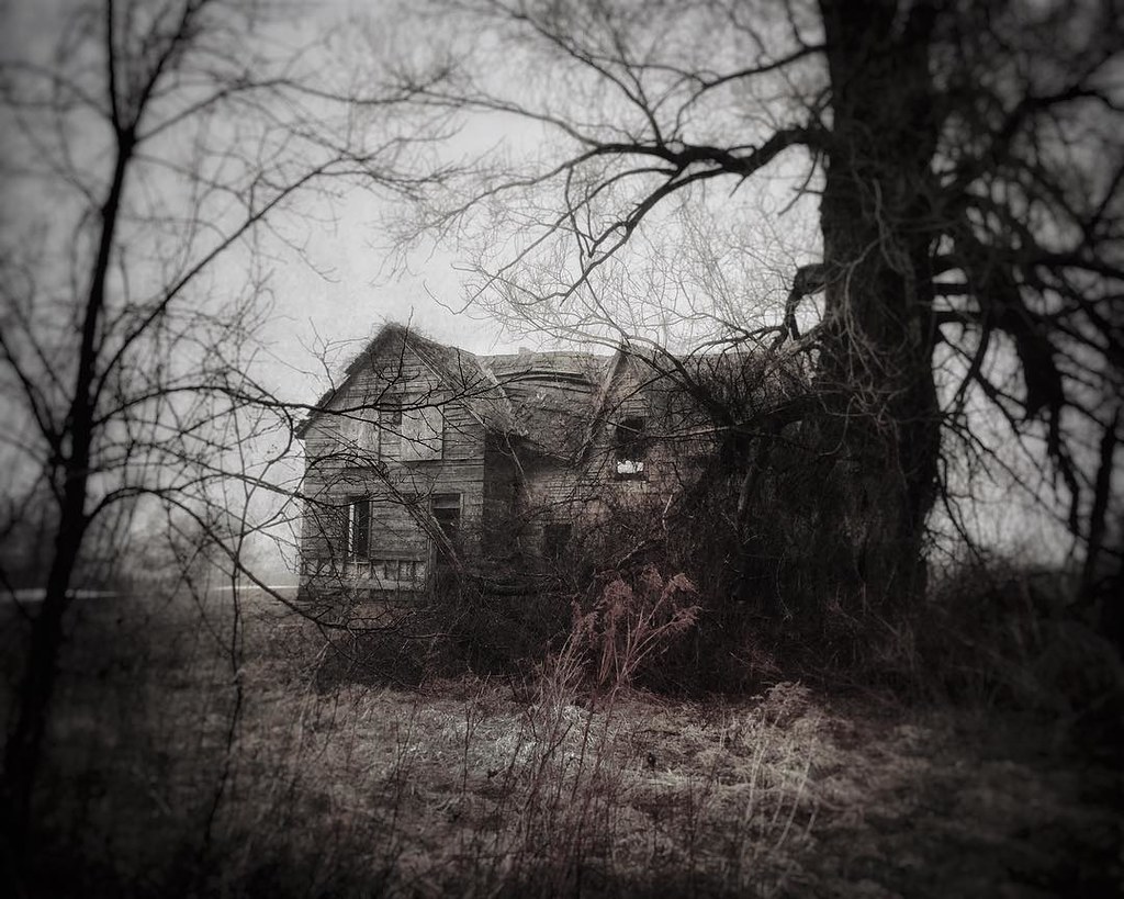 My favourite falling down house in the country.                               #iphone #country #wet #rain #fog #brucecounty #ontario