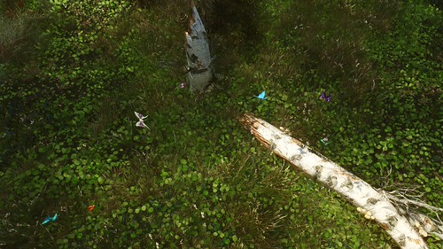 screenshot_2016-04-02_13-23-02 | by electricsheep26354