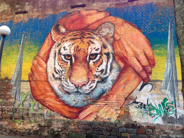 Protect the Amur Tiger Street Wall Art Vladivostok Russia Far East