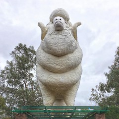 Wagin, home of Woolorama and the 9m high Giant Ram