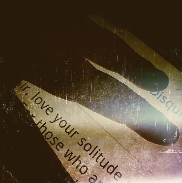 3/366 - Love your solitude