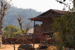 Enjoying the view - It seem as if the entire village came to see us - Ngwedaung