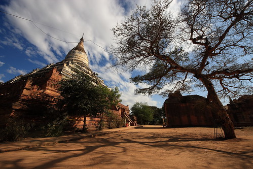 shadow tree landscape pagoda view burma wide myanmar burmese bagan shwesandaw