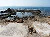 Caesarea, foto: Petr Nejedlý