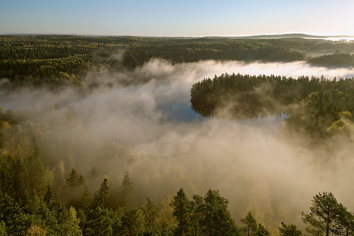 morning autumn mist lake tree fall nature weather misty fog forest sunrise finland season landscape countryside haze woods scenery colorful europe glow outdoor vibrant background hill foggy scenic peaceful aerialview calm fantasy silence mysterious cape mystical glowing magical idyllic hdr mystic