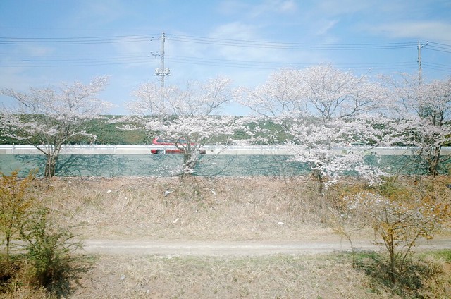 春日日本 春の中の日本 Japan In Spring
