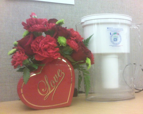 Valentine + Brita | by devlyn