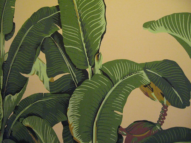 Banana Leaves Wallpaper Fountain Coffee Room Flickr