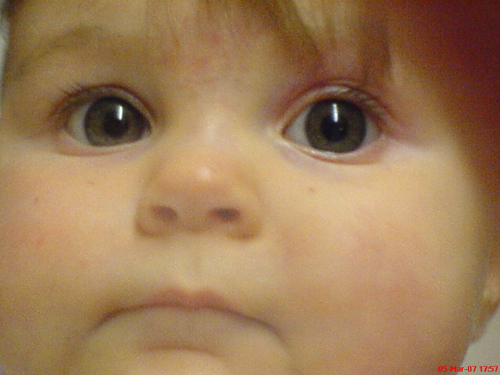 Chocolate Buttons