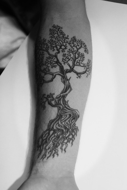 Tattoo uploaded by Robert Davies  Bonsai Tree Tattoo by Yutaro Bonsai  BonsaiTree Japanese Yutaro  Tattoodo