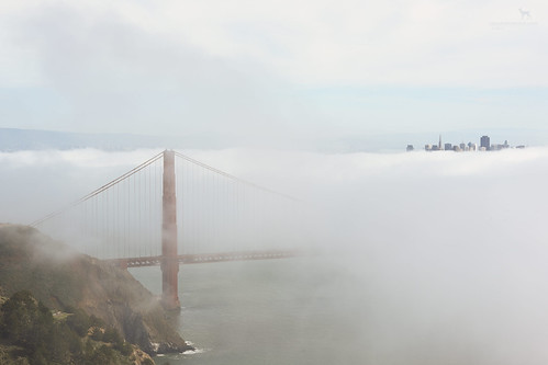 sanfrancisco california fog goldengatebridge conzelmanroad