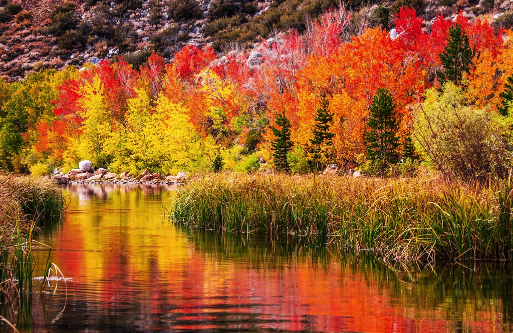 Nikon D810 California Fall Colors Autumn Foilage Fine Art … | Flickr