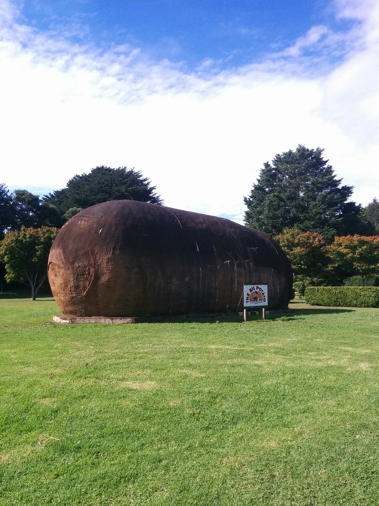 The Big Potato, Robertson