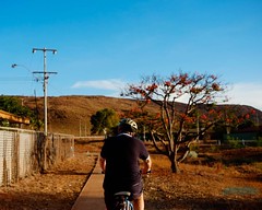One of the top ten things about Karratha has to be the bike paths around town. Except you need to wait until it gets a bit cooler before venturing outside. . . Made with my #fujixe1, #SOOC except for the crop. . #Karratha #Pilbara #westernaustralia #austr